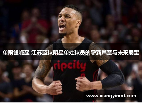 单前锋崛起 江苏篮球明星单姓球员的崭新篇章与未来展望