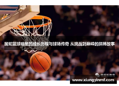 属蛇篮球明星的成长历程与球场传奇 从挑战到巅峰的拼搏故事